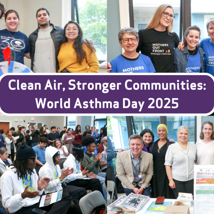 Graphic design for MA's World Asthma Day