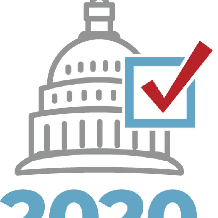 2020 elections graphic 2020 elections graphic