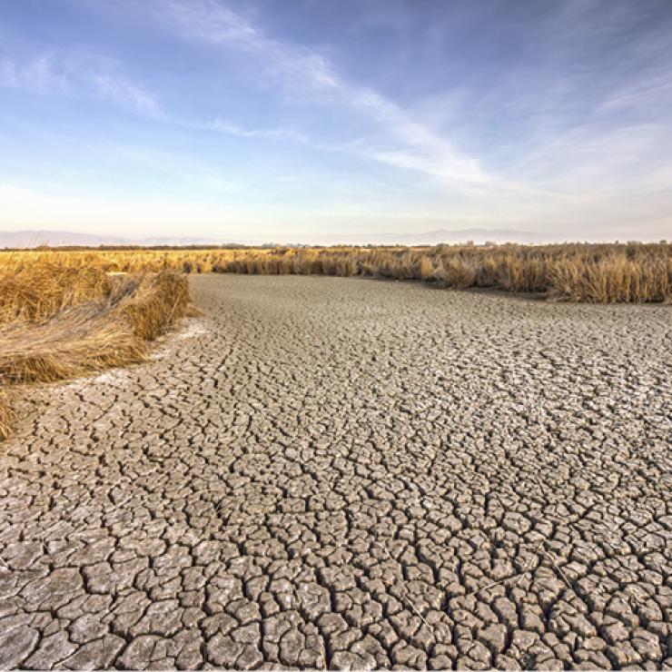 Drought, parched field Drought, parched field