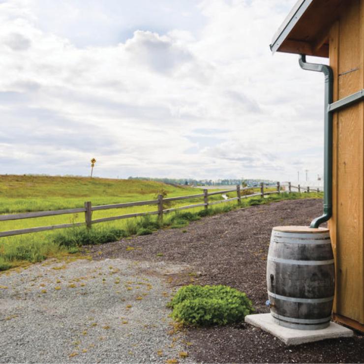 Rain barrel Rain barrel