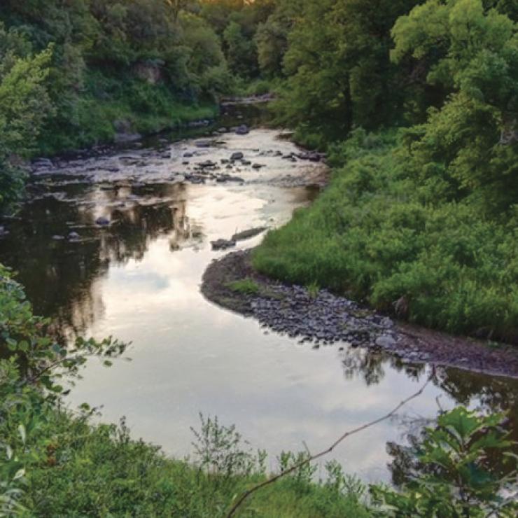 Stream Stream