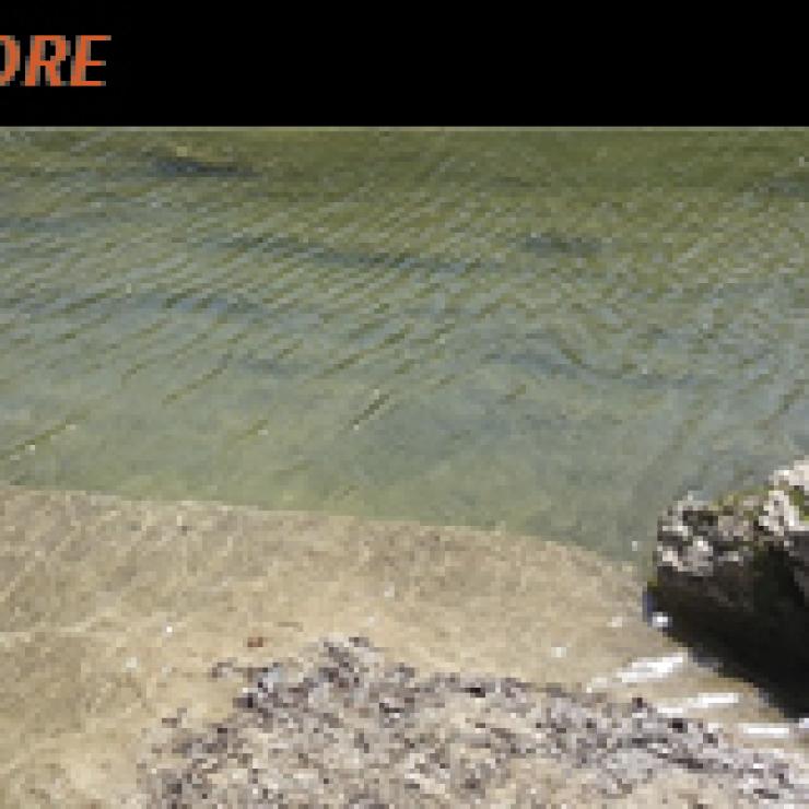 Onion Creek, photo from City of Austin Watershed Protection Onion Creek, photo from City of Austin Watershed Protection