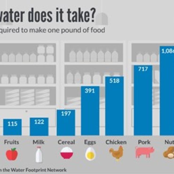 Water Consumption of Producing Foods Water Consumption of Producing Foods