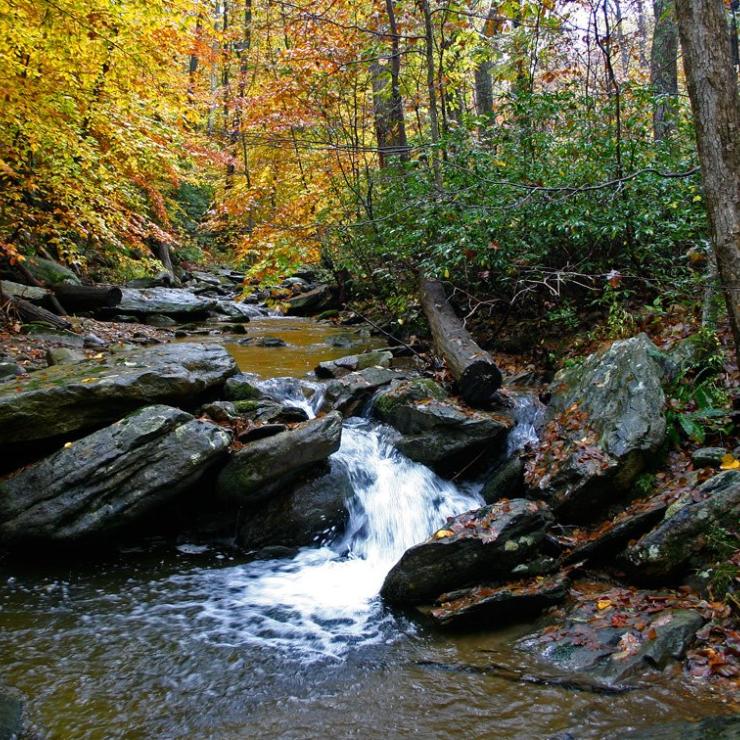 Photo credit: Kai Hagen, https://www.facebook.com/kaihagenphotography Stream in a forest during fall