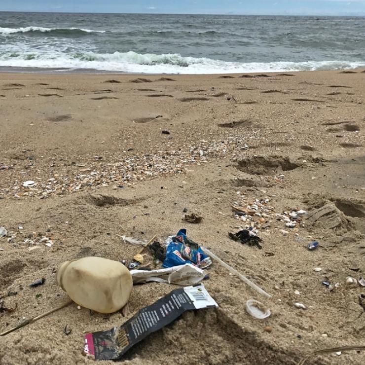 plastic straws on beach image. by jenny vickers chyb..jpg plastic straws on beach image. by jenny vickers chyb..jpg