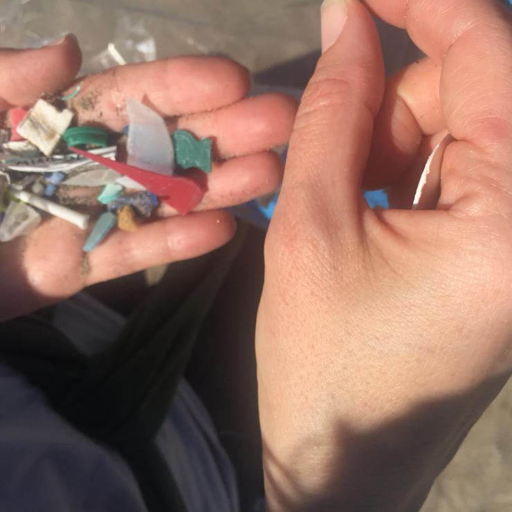 We found thousands of small pieces of plastic on our cleanup, which choke marine life. We found thousands of small pieces of plastic on our cleanup, which choke marine life.