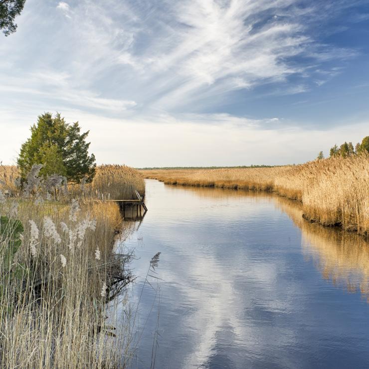 water_NJ_Pinelands_Small_Stream_Wetlands_450x299.jpg water_NJ_Pinelands_Small_Stream_Wetlands_450x299.jpg