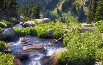 Boulder Creek