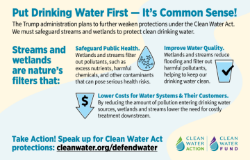 PDWF Infographic