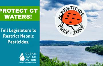 graphic design for CT's protect CT waters campaign
