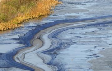 Oil slick on water