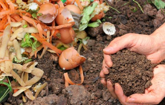 MD - Advancing Composting