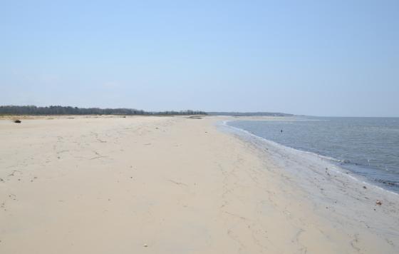 Kimbles Beach, NJ 