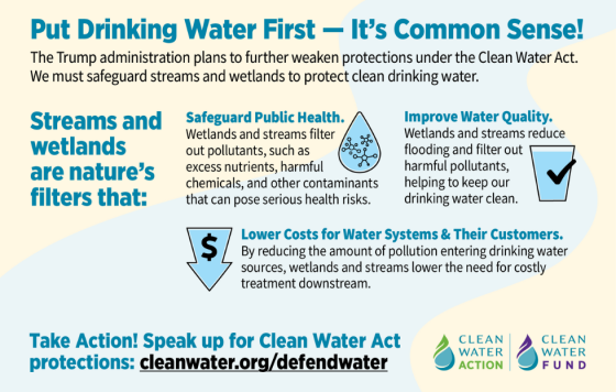 PDWF Infographic