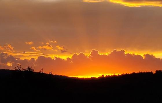 Summer Sunset