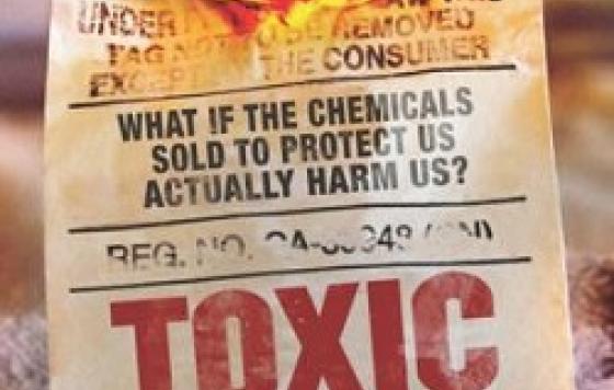 Toxic Hot Seat