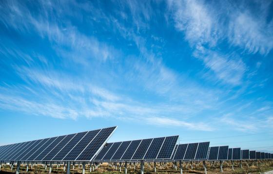 Solar farm